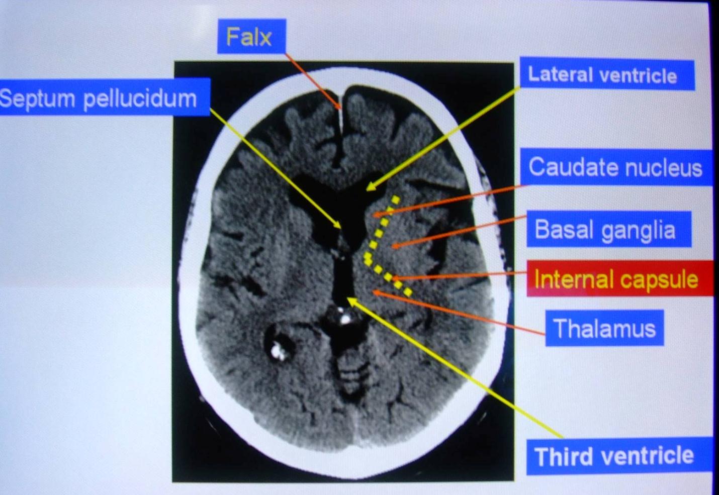 emDOCs.net – Emergency Medicine EducationHow To Be A Clinical Rock Star
