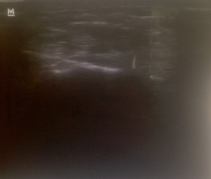 Screen shot 2015-05-08 at 10.21.55 AM
