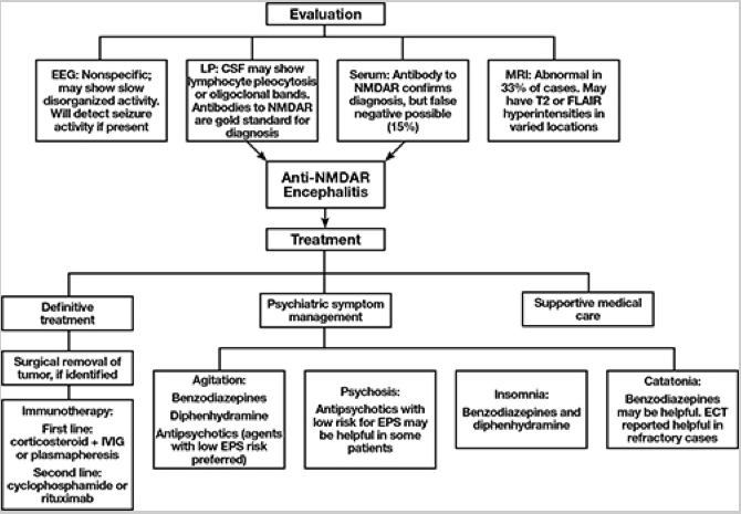 emDOCs.net – Emergency Medicine EducationAnti-NMDA Receptor Encephalitis:  Highlights in Adult Patients - emDOCs.net - Emergency Medicine Education