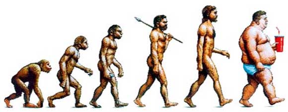 obesity-evolution