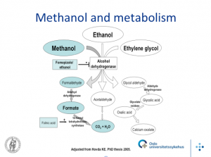 toxic alcohol metabolism