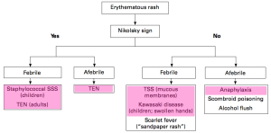 Pediatric Rashes Chart