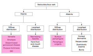 Pediatric Rashes Chart