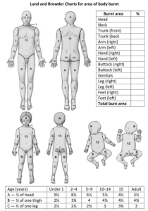 Figure 2. Lund & Browder Chart (Reference 5)
