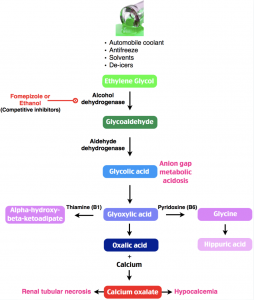 Emdocs Net Emergency Medicine Educationem 3am Ethylene Glycol Toxicity Emdocs Net Emergency Medicine Education