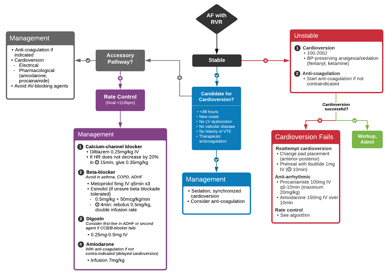 Emergency Medicine EducationSepsis Care What’s New? The