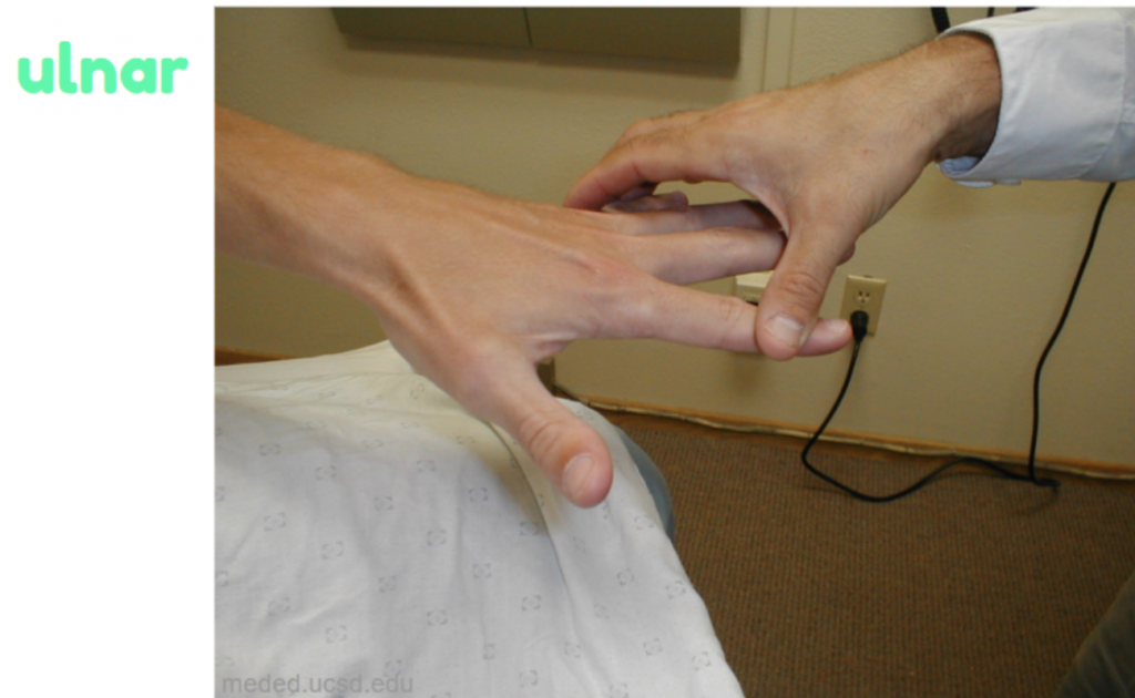 What Nerve Causes A Fist
