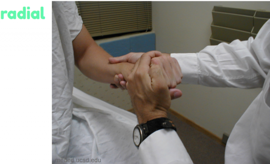 What Nerve Causes A Fist