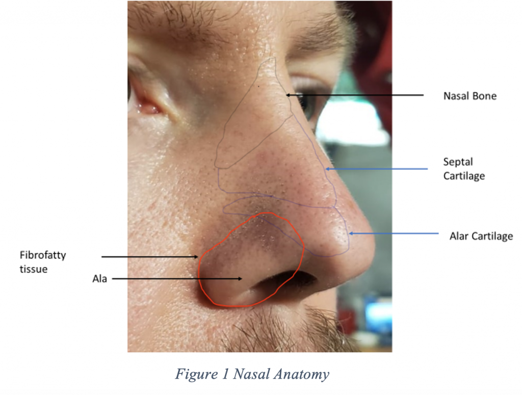 Emergency Medicine EducationPreventing Scarface Pearls