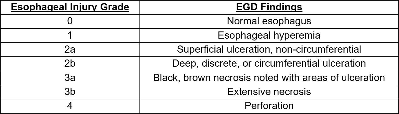 Zargar Classification