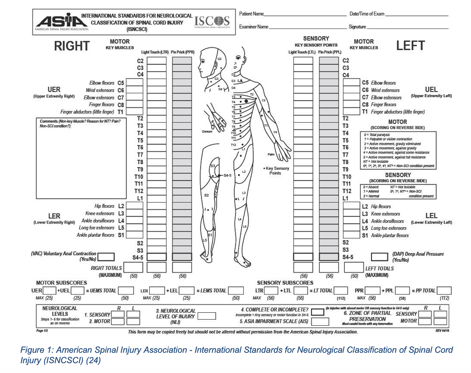 We Have Your Back: ED Presentations, Evaluation, and Management of Spinal Cord Injuries