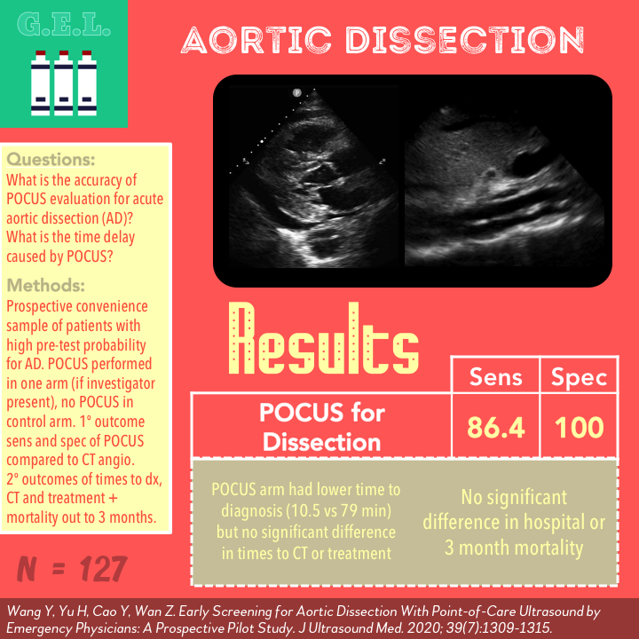 Ultrasound G.E.L. – Return of the Aortic Dissection
