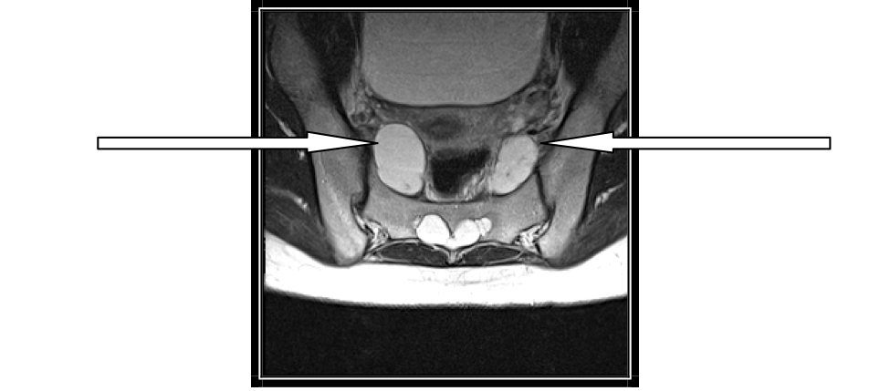 image3a