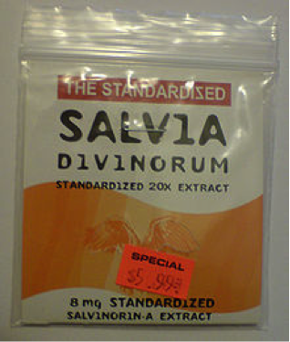 Salvia