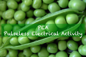 Pulseless-Electrical-Activity