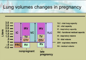 lung volume changes in pregnancy