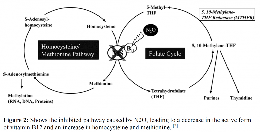 Emergency Medicine EducationTOXCard Nitrous Oxide