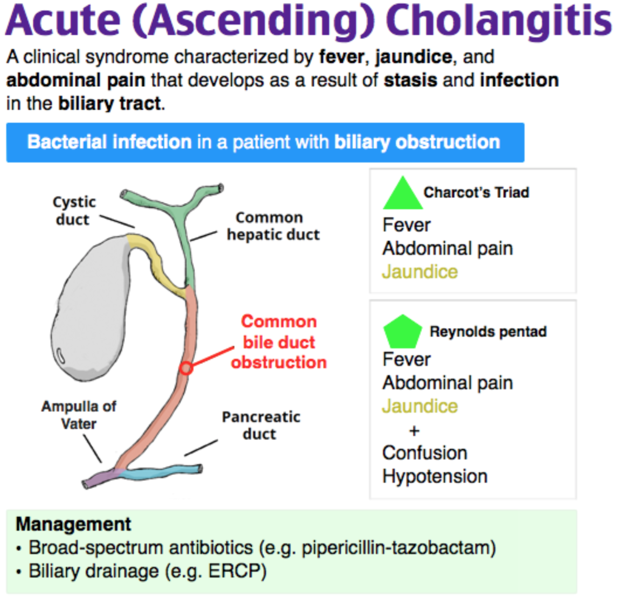 Acute перевод. Acute cholangitis. Ascending cholangitis. Холангит.