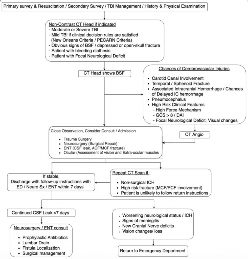 Emergency Medicine EducationBasilar Skull Fracture Basics