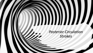 Posterior Circulation strokes header