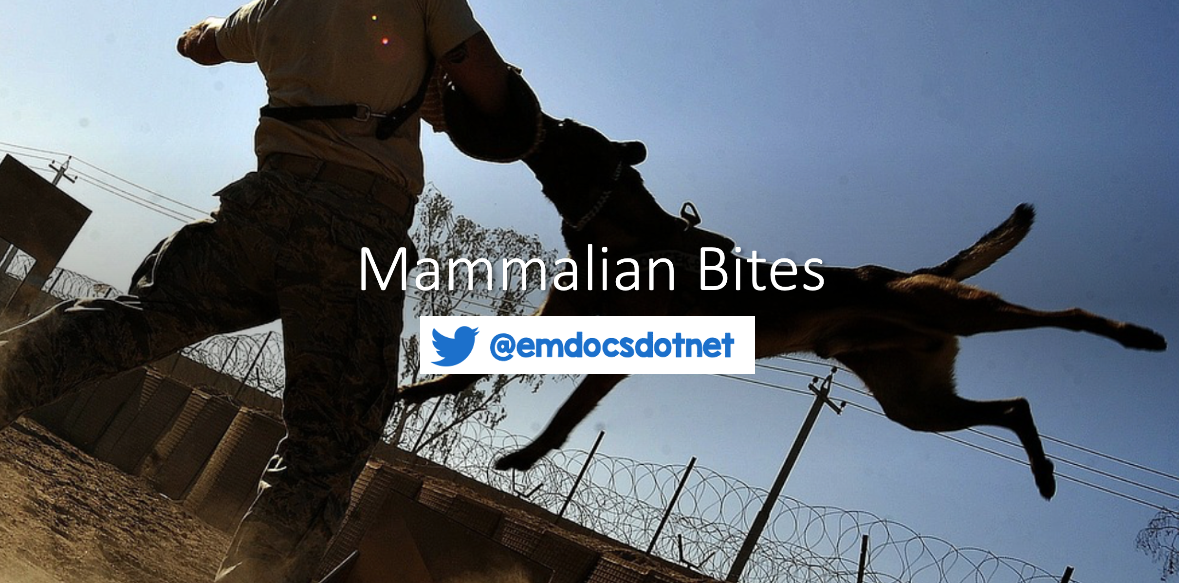 emDOCs.net – Emergency Medicine Educationpractice updates Archives ...