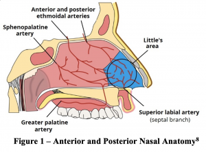 EM@3AM: Pediatric Epistaxis - emDocs
