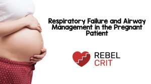 Respiratory failure and airway management in the pregnant patient header