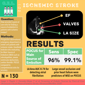 Ultrasound G.E.L. Ischemic Stroke Infographic