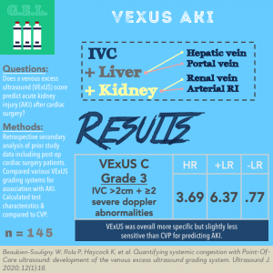Ultrasound G.E.L. VEXUS AKI infographic