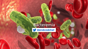 Bacteremia header