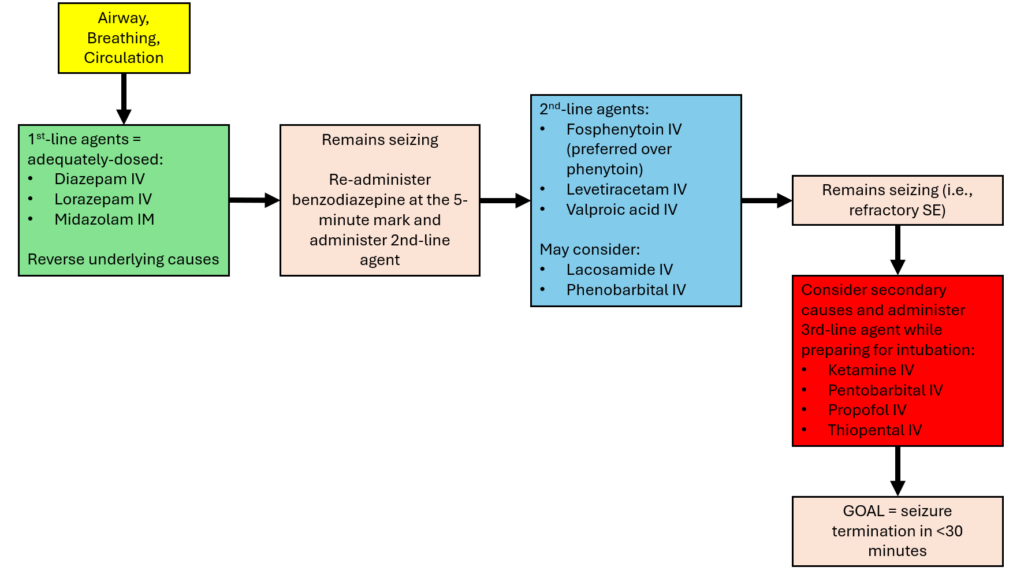 Suggested algorithm for status epilepticus management