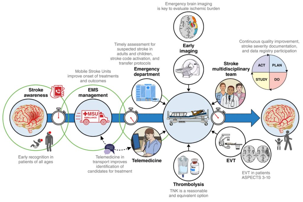 2026 Guideline Update: Early Management of Acute Ischemic Stroke - emDocs