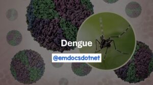 Dengue